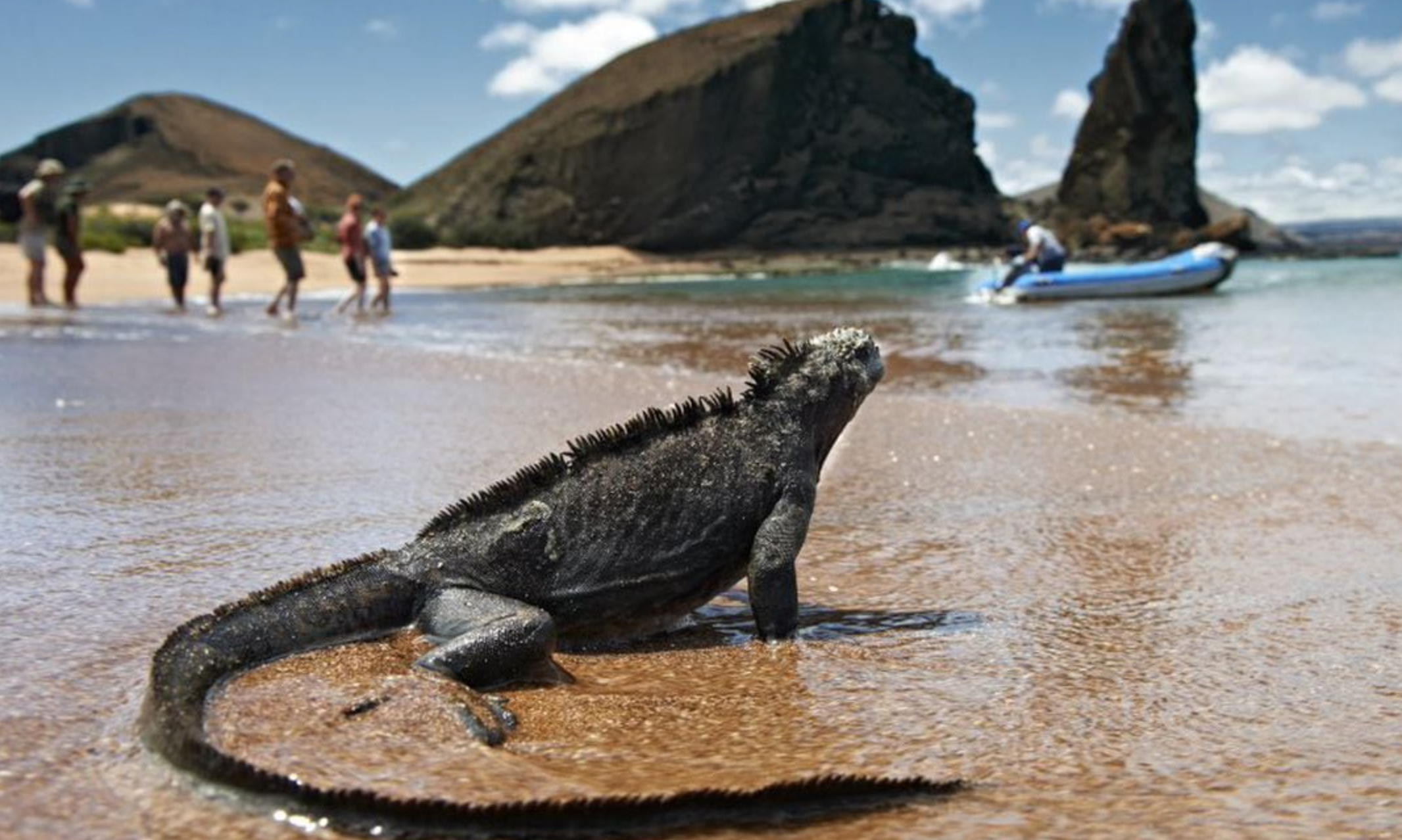 Reabren al turismo dos zonas de islas Galápagos